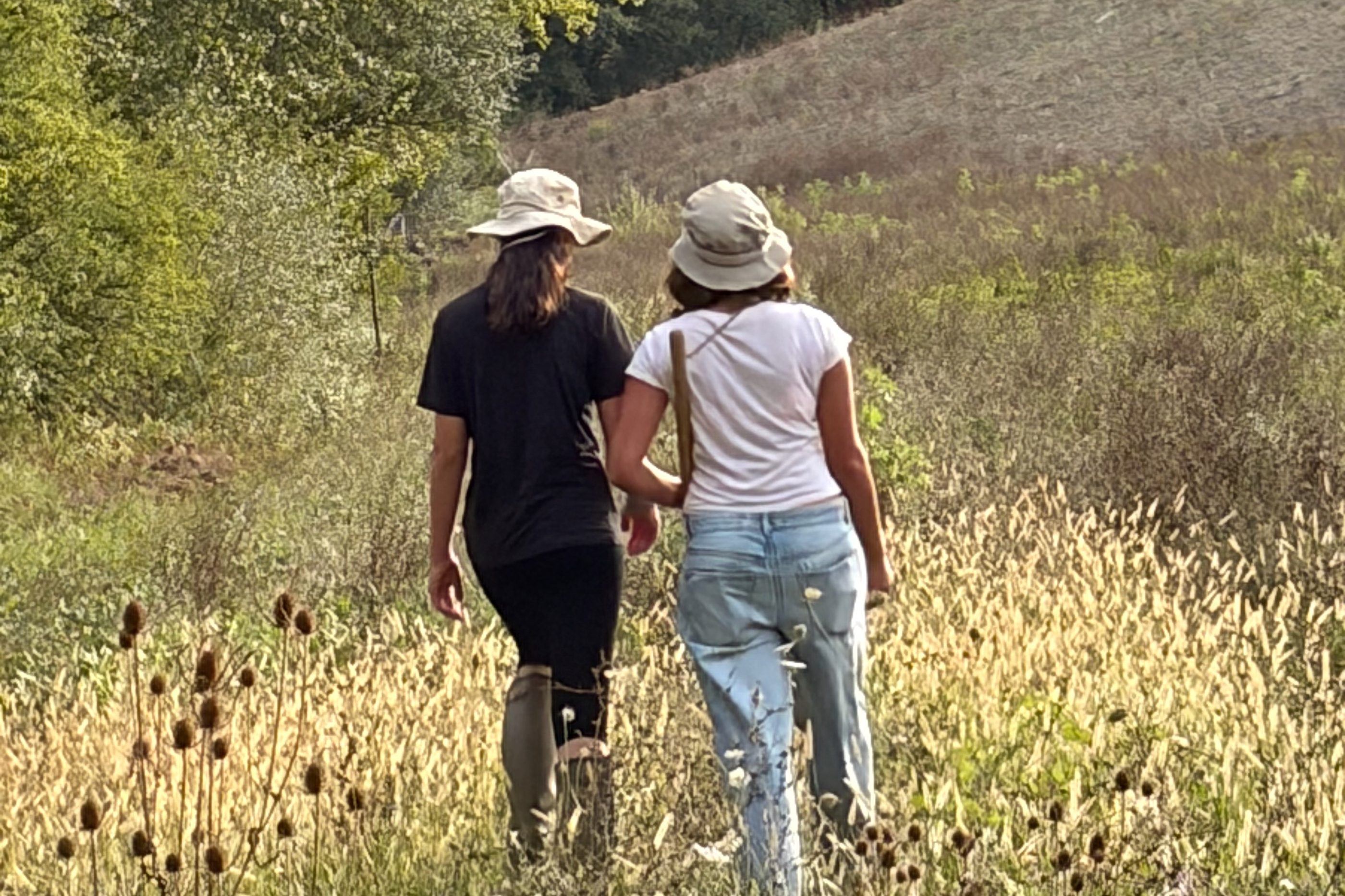 Ospiti in cammino verso il bosco, nell'erba alta di settembre