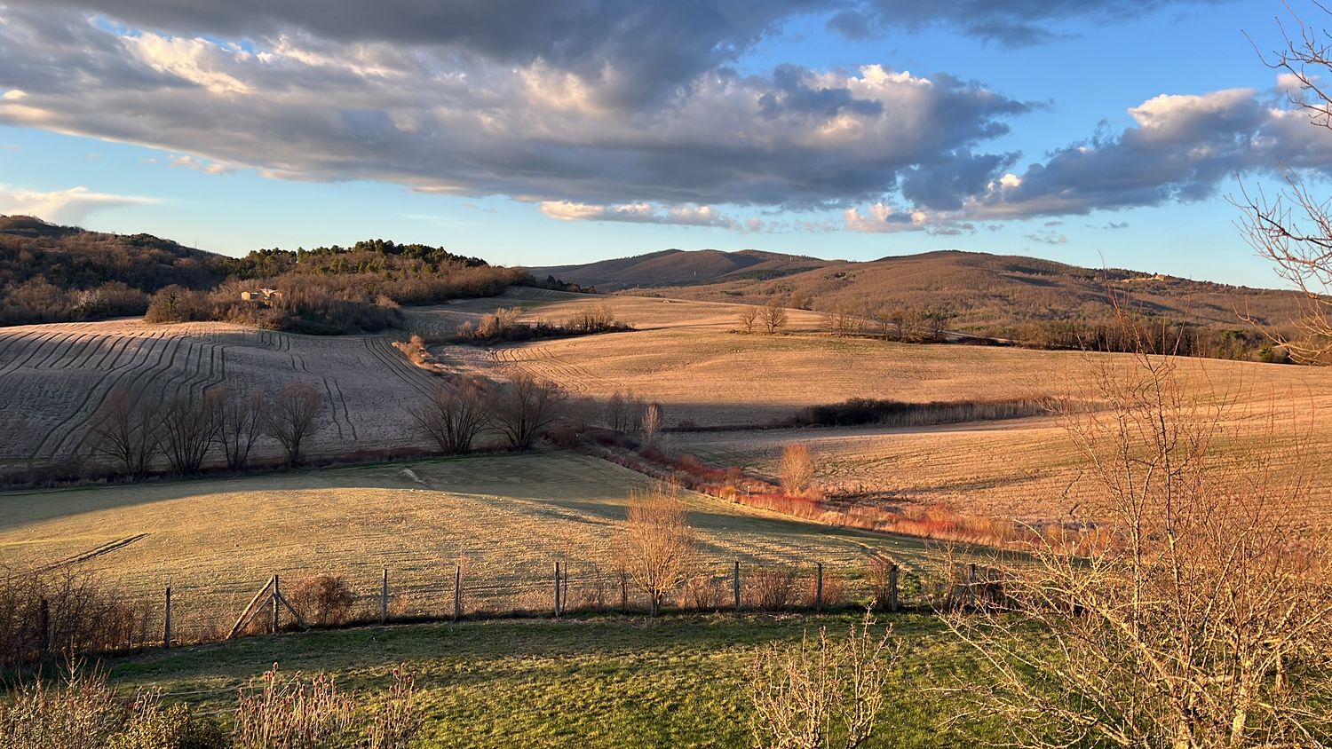 Le colline del podere nella luce di dicembre