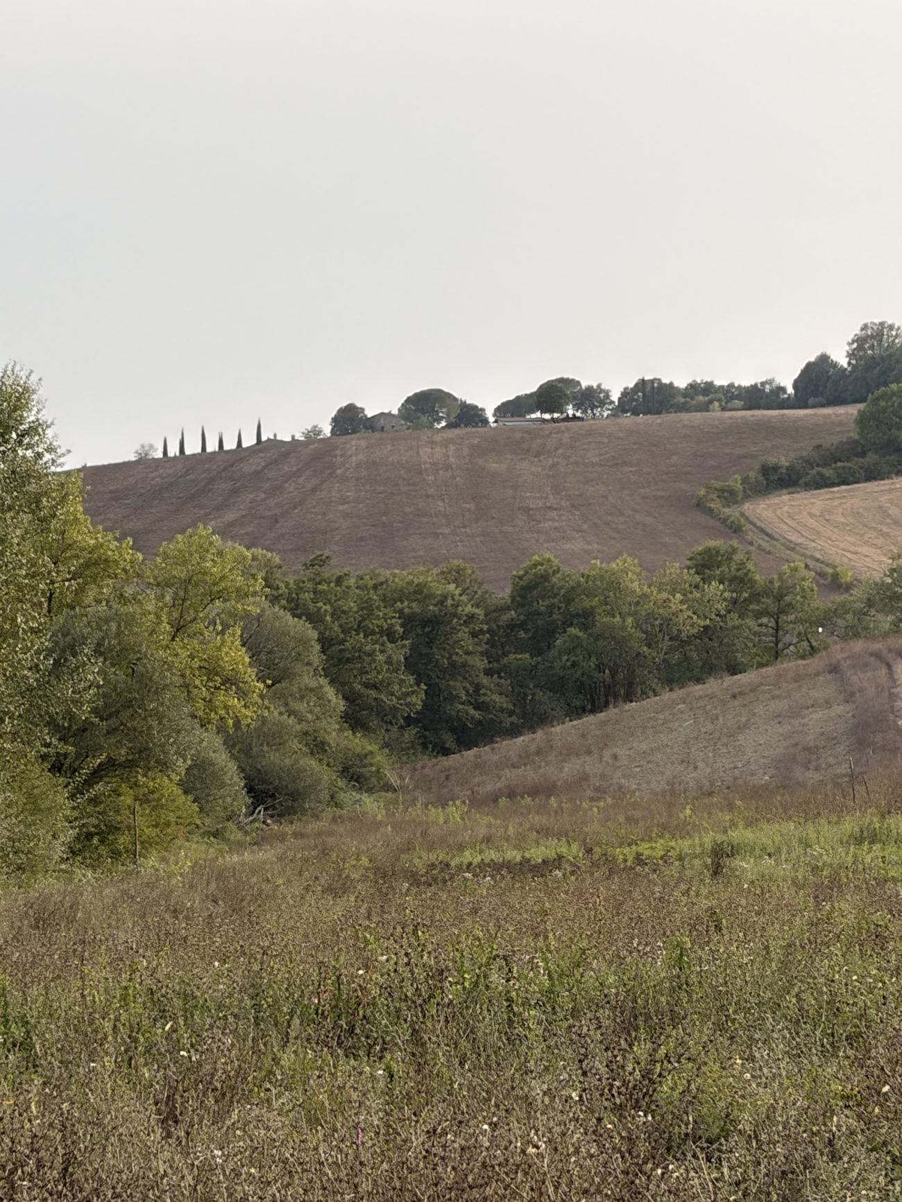 Il podere visto dal bosco, incorniciato dai rami di quercia
