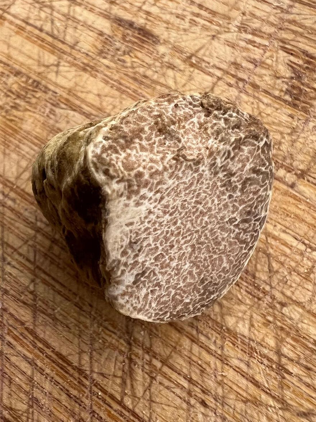 Un tartufo bianco aperto: la polpa chiara venata di bianco