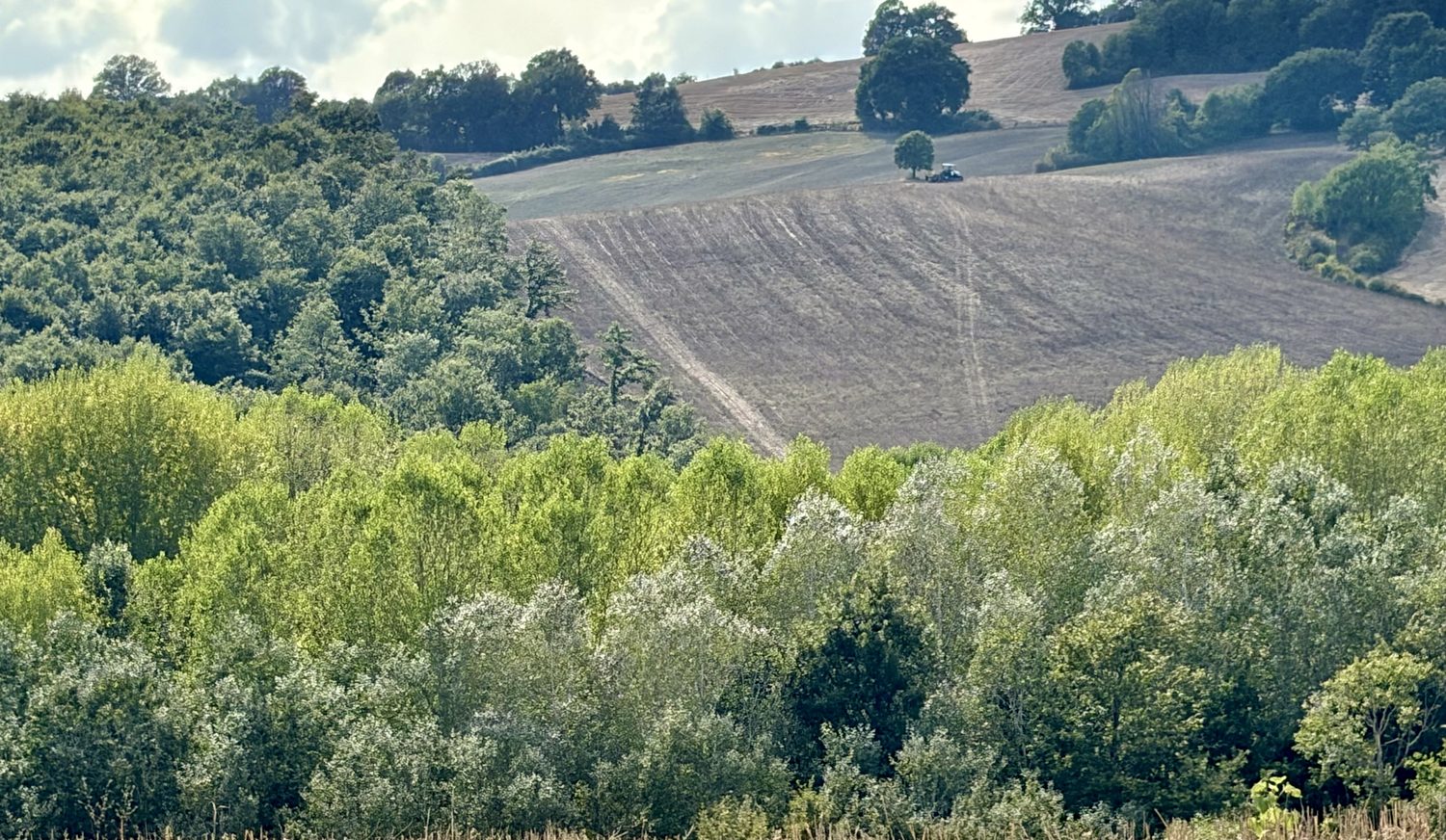 Il trattore che lavora il campo sul crinale, sopra il bosco